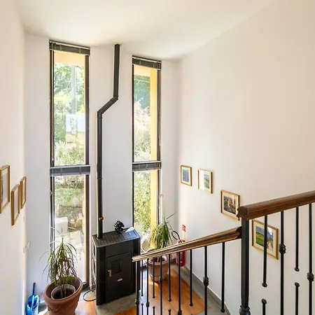 Apartamento Elisa By Interhome